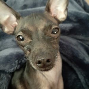 Meet your Posher, Barbara